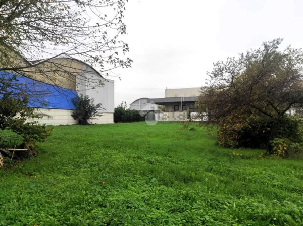 terreno edificabile in vendita a Gambettola