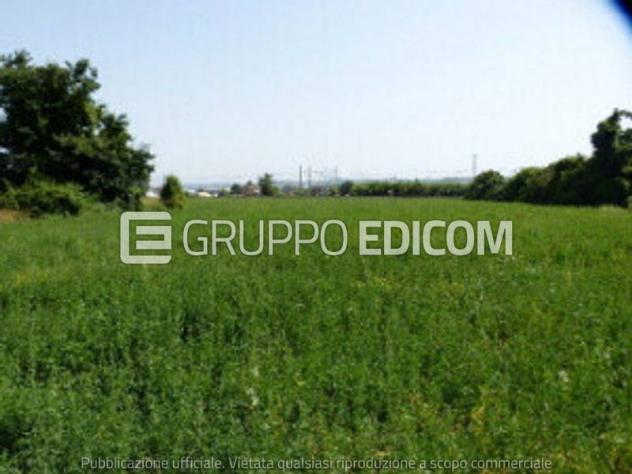 terreno agricolo in vendita a Gambettola