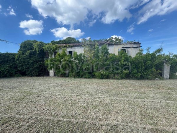 casa indipendente in vendita a Gambettola