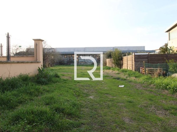 terreno agricolo in vendita a Gambettola