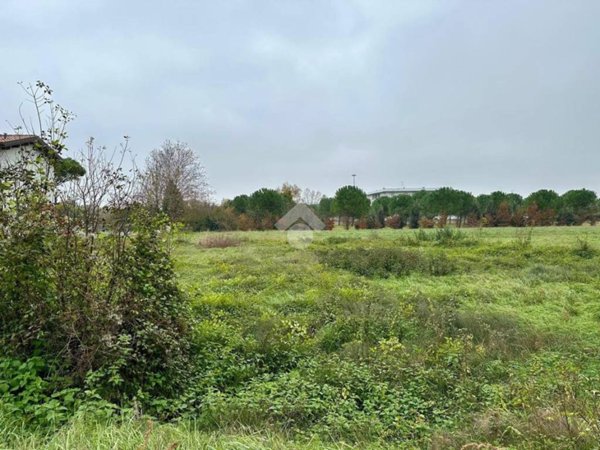 terreno agricolo in vendita a Gatteo