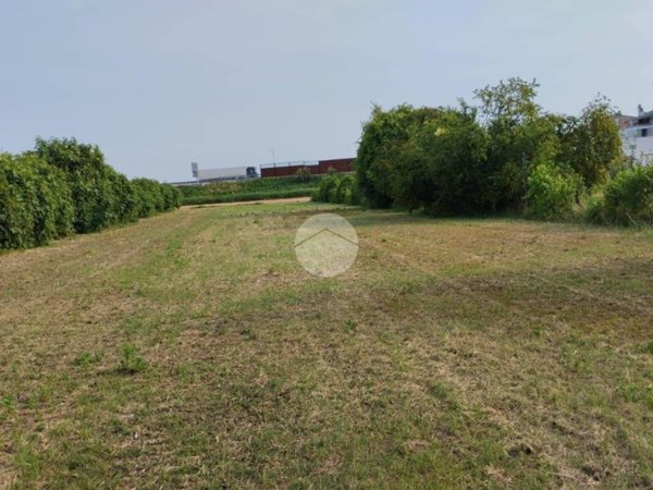 terreno agricolo in vendita a Gatteo in zona Fiumicino