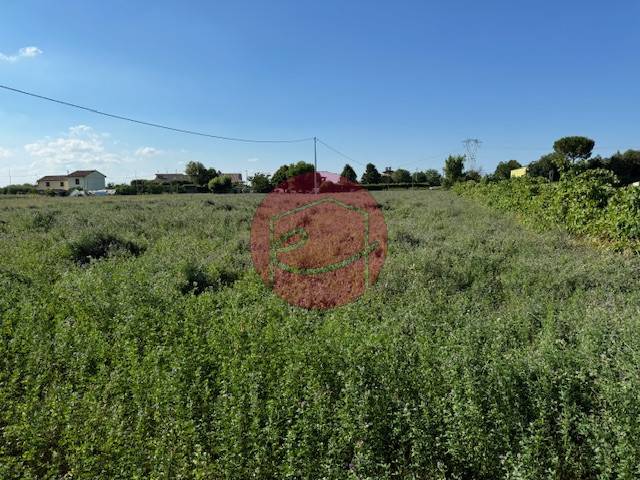 terreno agricolo in vendita a Gatteo in zona Sant'Angelo