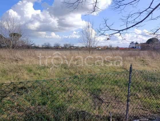 terreno agricolo in vendita a Gatteo