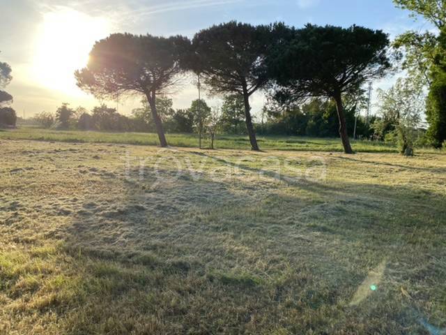 terreno agricolo in vendita a Gatteo