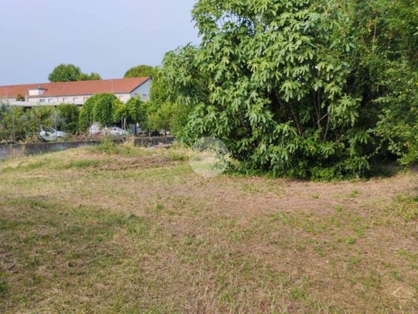 terreno agricolo in vendita a Gatteo in zona Fiumicino