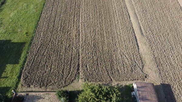 terreno agricolo in vendita a Gatteo in zona Sant'Angelo
