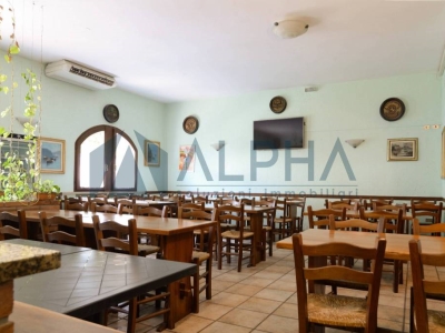 negozio in vendita a Gatteo