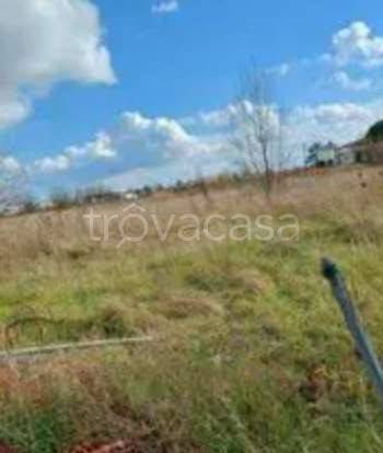 terreno agricolo in vendita a Gatteo