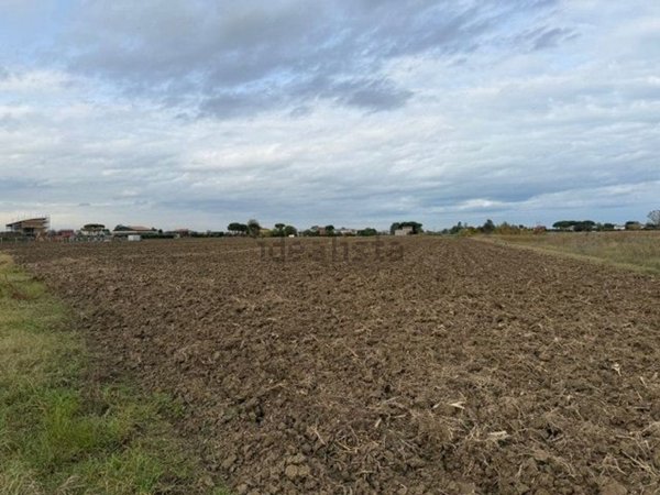 terreno agricolo in vendita a Gatteo in zona Sant'Angelo