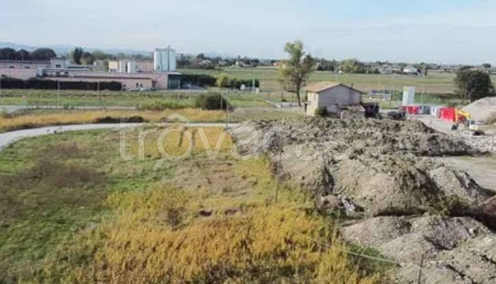 terreno agricolo in vendita a Gatteo