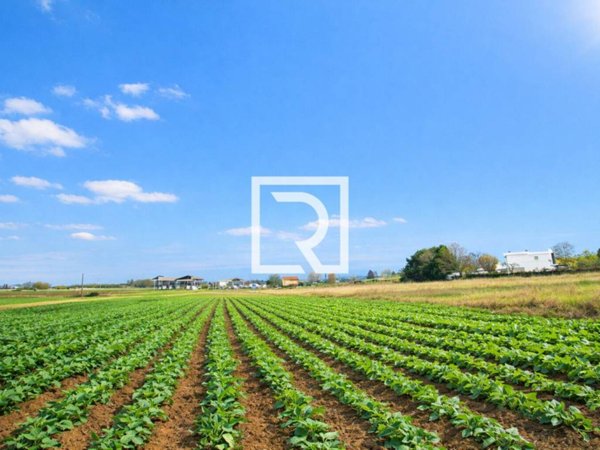 casa indipendente in vendita a Gatteo