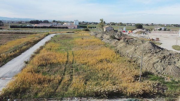 terreno industriale in vendita a Gatteo