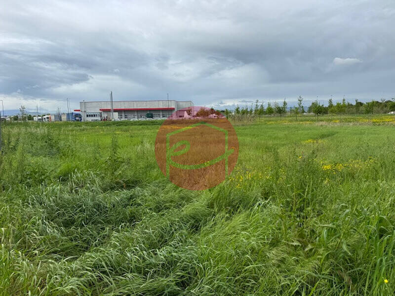 terreno agricolo in vendita a Gatteo in zona Sant'Angelo