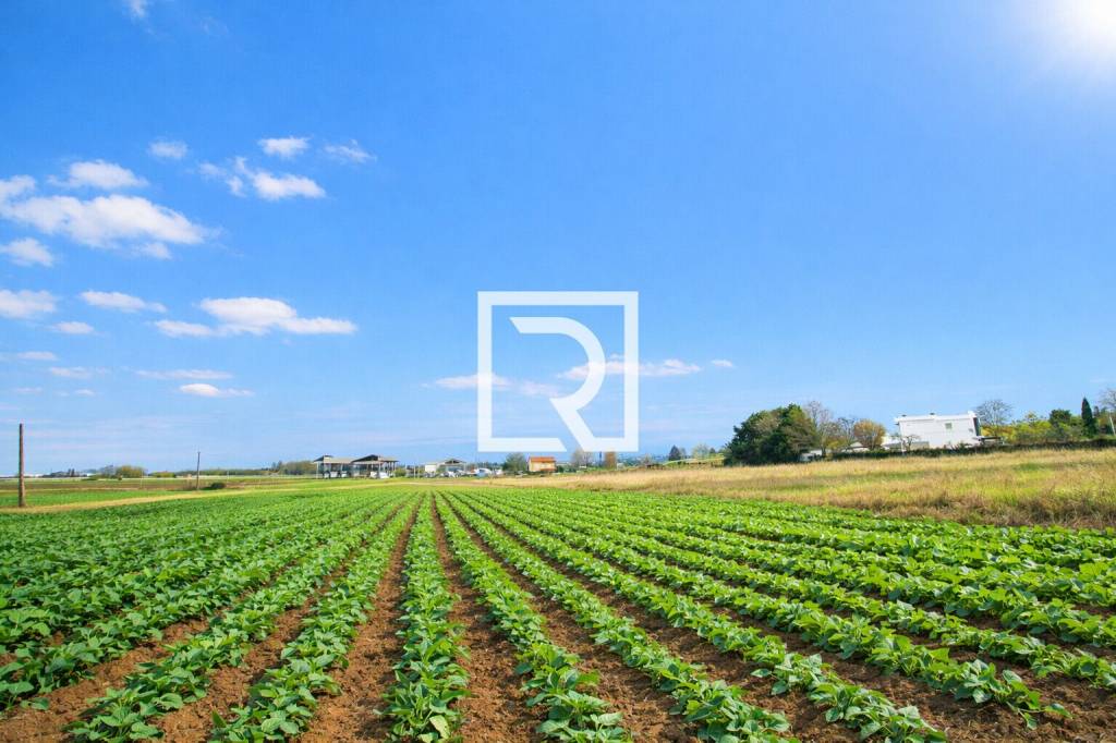 casa indipendente in vendita a Gatteo