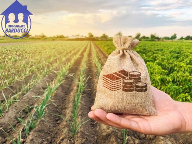 terreno agricolo in vendita a Gatteo in zona Sant'Angelo