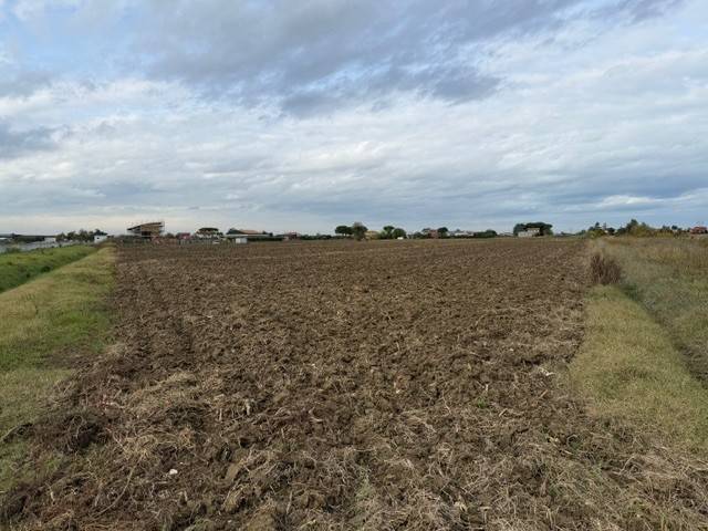 terreno agricolo in vendita a Gatteo in zona Sant'Angelo