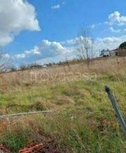 terreno agricolo in vendita a Gatteo in zona Fiumicino