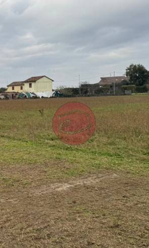 terreno agricolo in vendita a Gatteo in zona Sant'Angelo