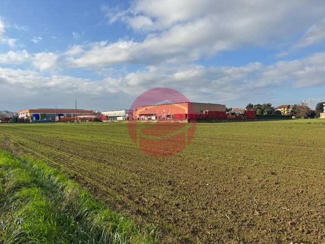 terreno agricolo in vendita a Longiano