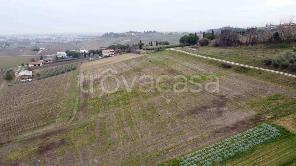 terreno agricolo in vendita a Longiano
