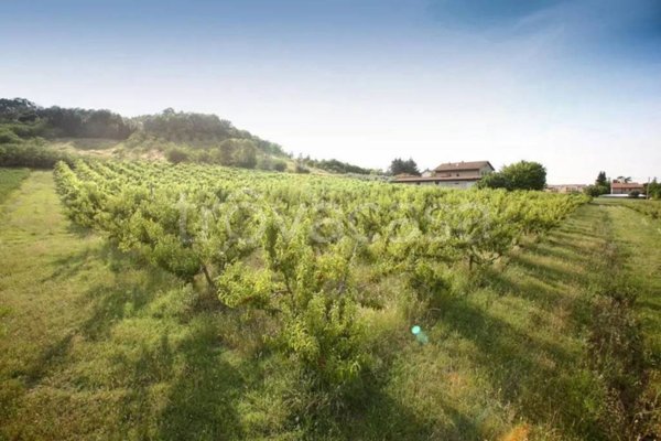 terreno agricolo in vendita a Longiano in zona Crocetta