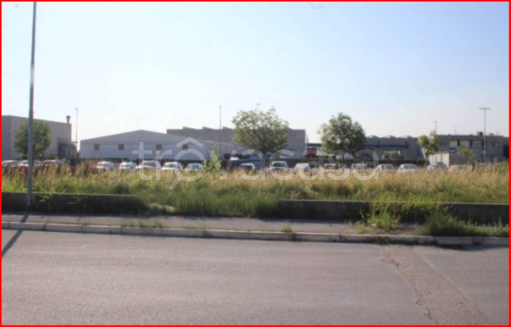 terreno agricolo in vendita a Longiano in zona Budrio