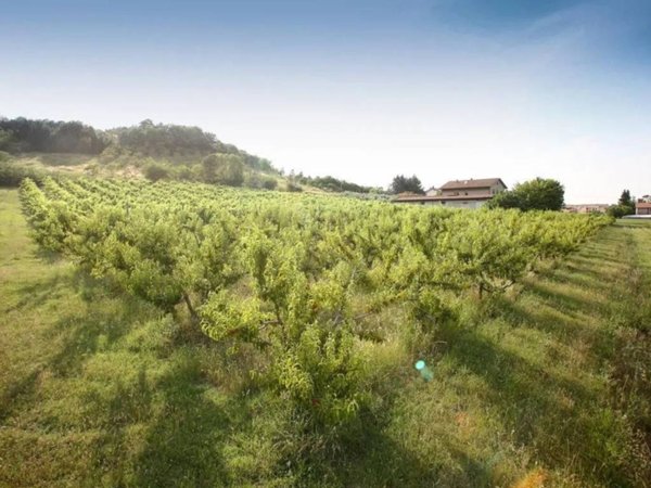 terreno agricolo in vendita a Longiano in zona Crocetta