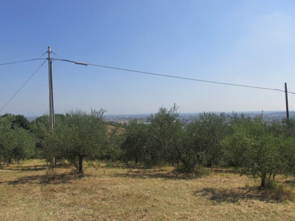 casa indipendente in vendita a Longiano