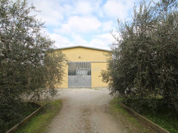 capannone in vendita a Longiano in zona Felloniche