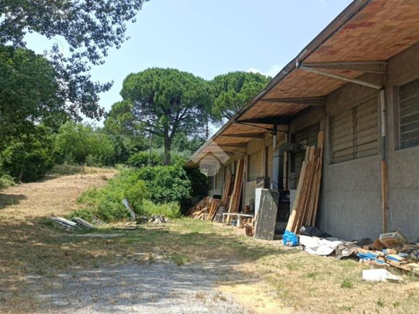 locale commerciale in vendita a Longiano