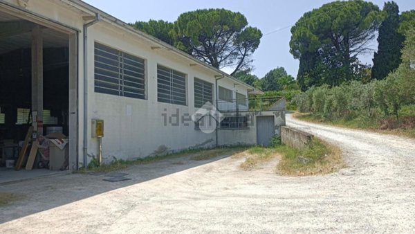 capannone in vendita a Longiano
