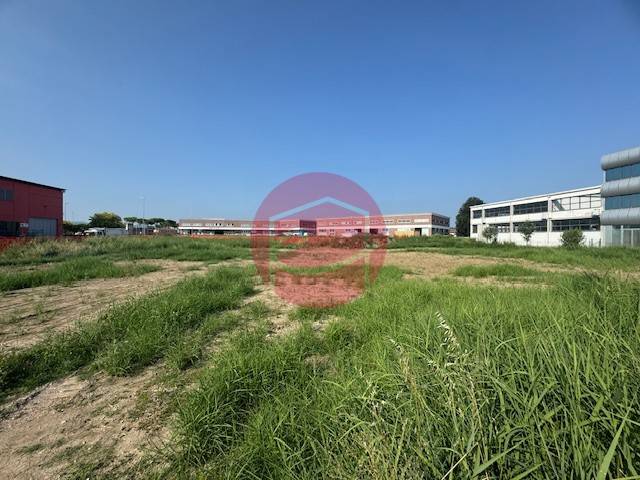 terreno agricolo in vendita a Longiano