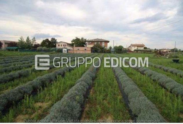 terreno agricolo in vendita a Longiano