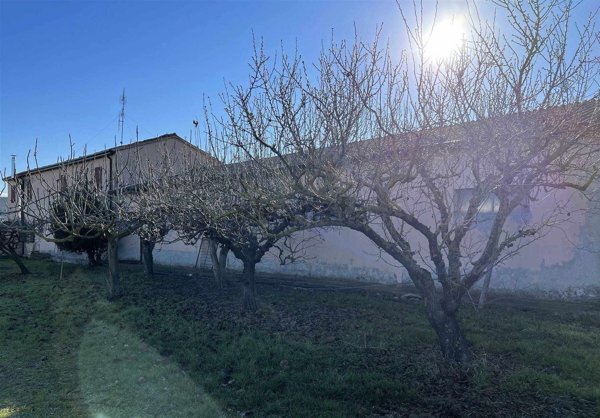 pentavano in vendita a Longiano