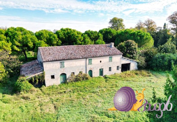 casa indipendente in vendita a Longiano