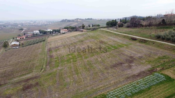 terreno agricolo in vendita a Longiano