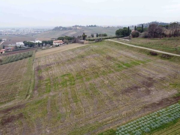 terreno agricolo in vendita a Longiano