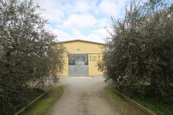 capannone in vendita a Longiano in zona Felloniche