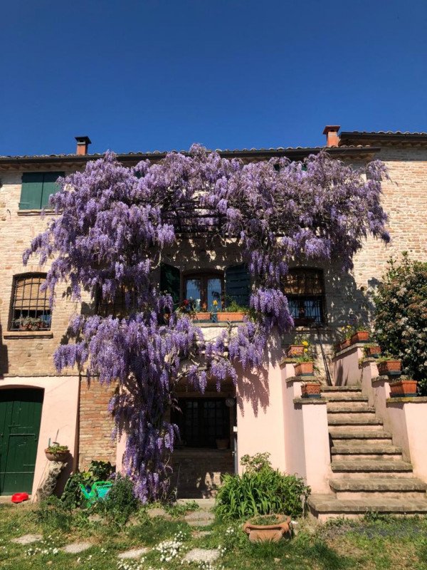 casa indipendente in vendita a Longiano