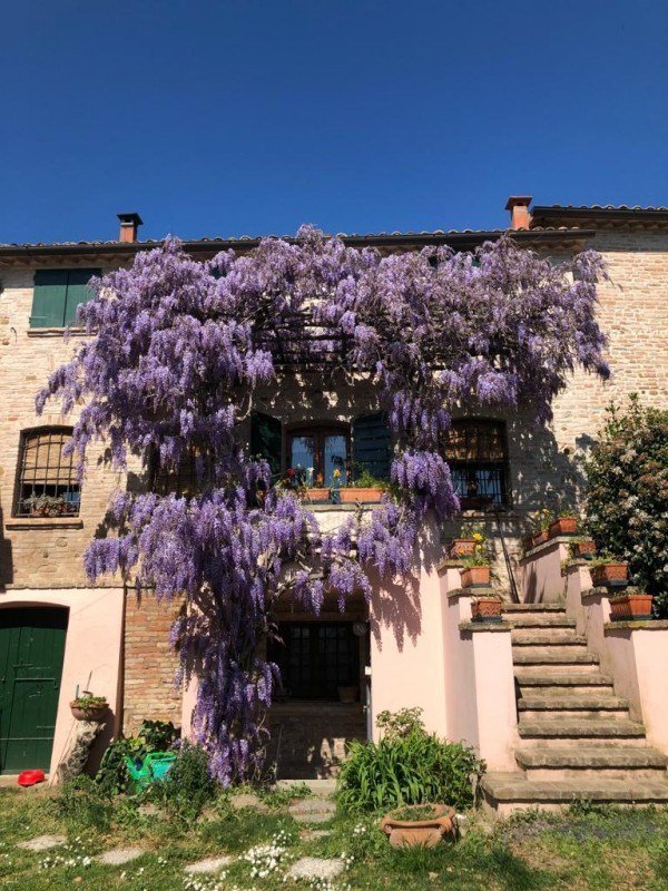 casa indipendente in vendita a Longiano
