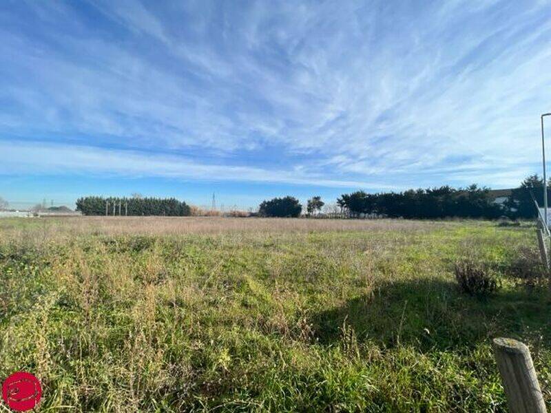 terreno agricolo in vendita a Longiano