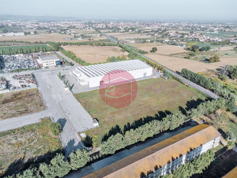 terreno agricolo in vendita a Longiano