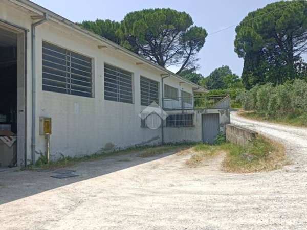 locale commerciale in vendita a Longiano