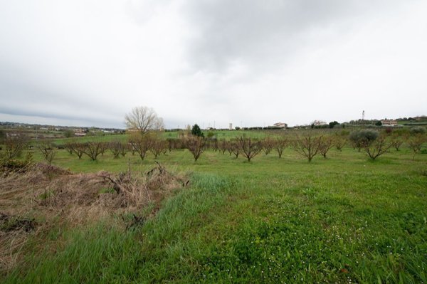 loft in vendita a Longiano