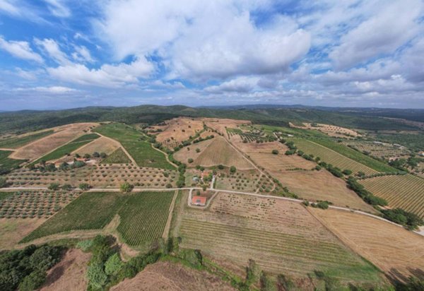 casa indipendente in vendita a Longiano