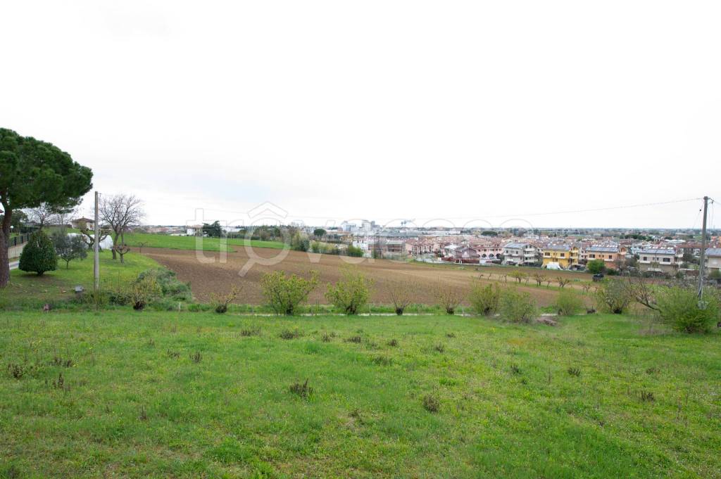 appartamento in vendita a Longiano