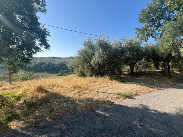 terreno in vendita a Longiano