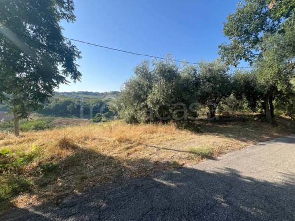 terreno agricolo in vendita a Longiano
