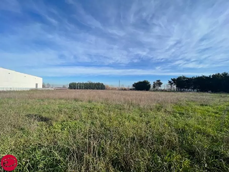 terreno in vendita a Longiano